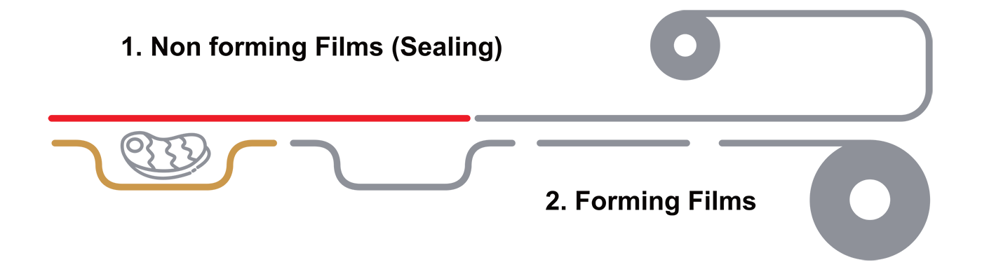 Producing Process of Thermoform Vacuum Packaging Image