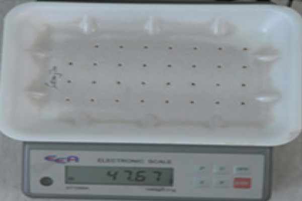 Weight after Absorption Image (CHEMPEOPLE)